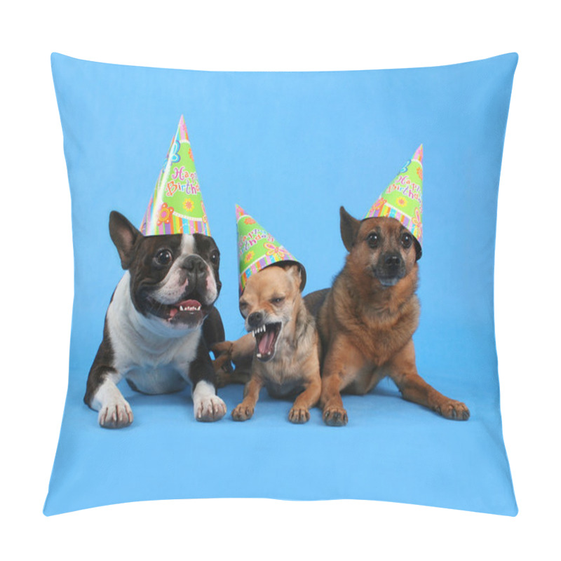 Personality  Dogs With Birthday Hats Pillow Covers