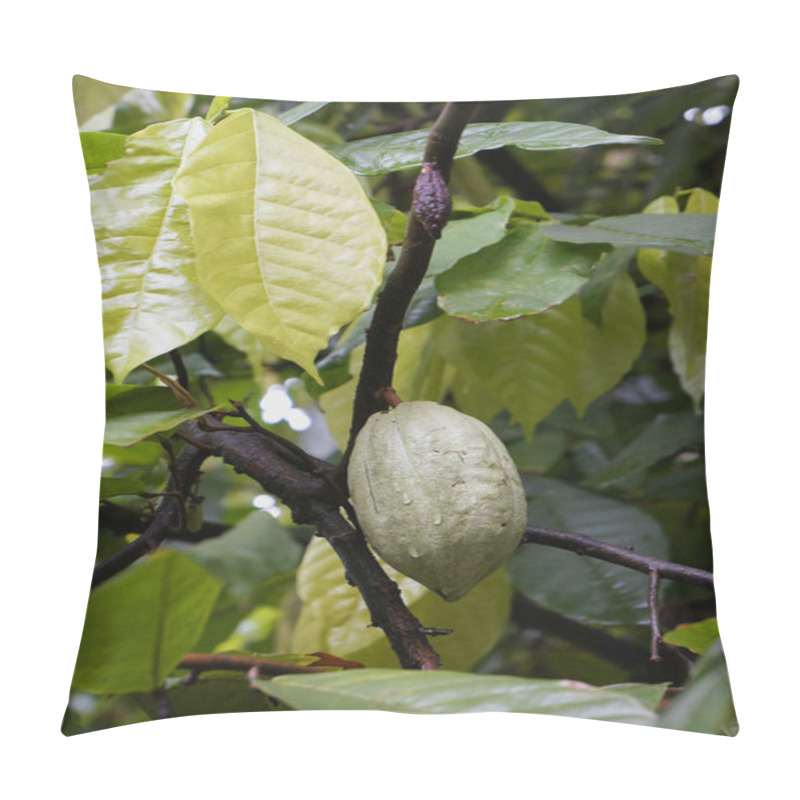 Personality  Cacao Tree With Cocoa Beans Pillow Covers