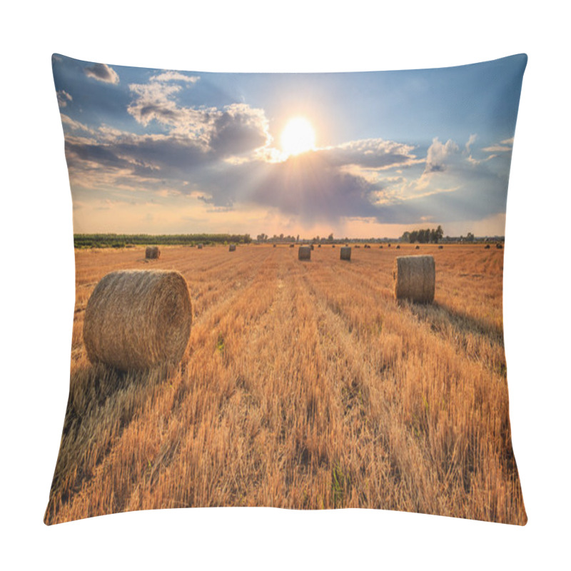 Personality  Harvest Time Pillow Covers