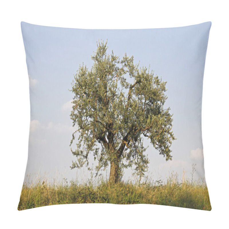 Personality  Olive Tree (olea Europaea) At Lake Garda, Lazise, Italy Pillow Covers