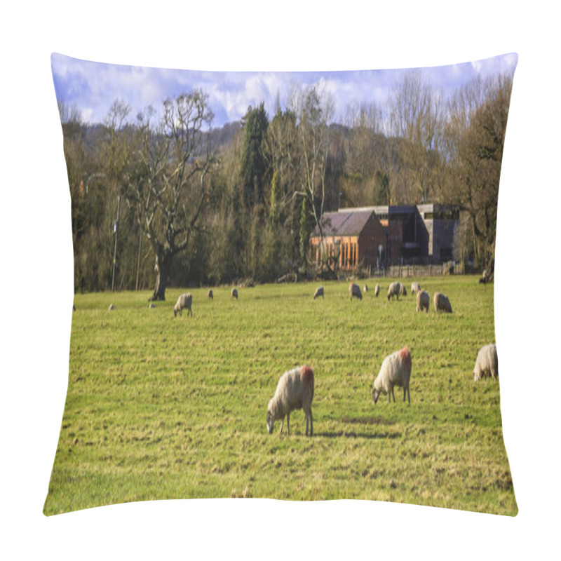 Personality  Sheep Pillow Covers