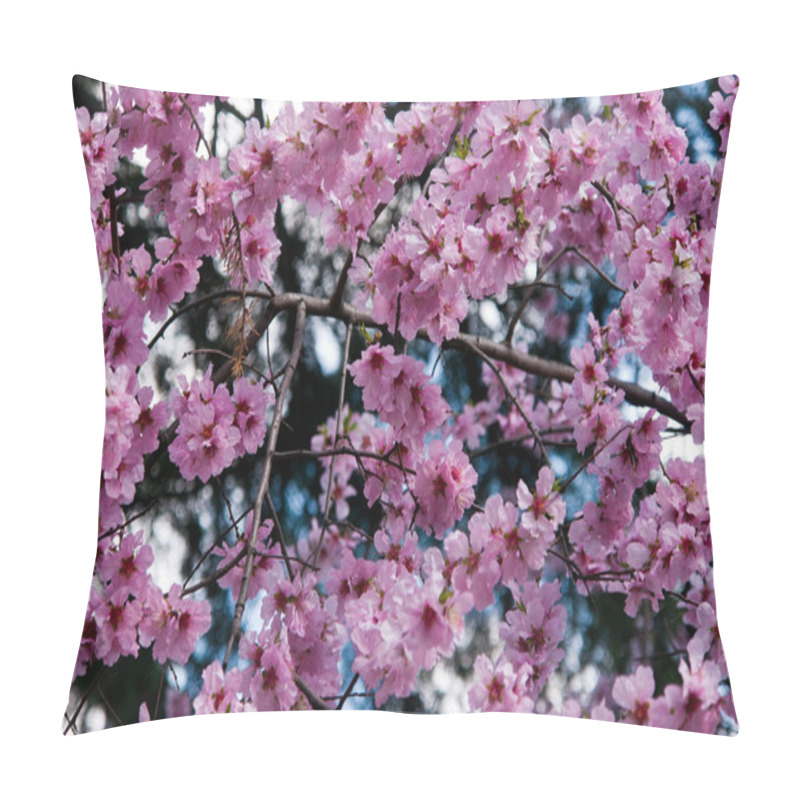 Personality  Sakura (cherry Blossoms) Pillow Covers