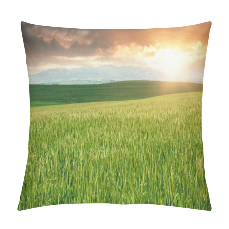 Personality  Green Beautiful Wheat Field Pillow Covers