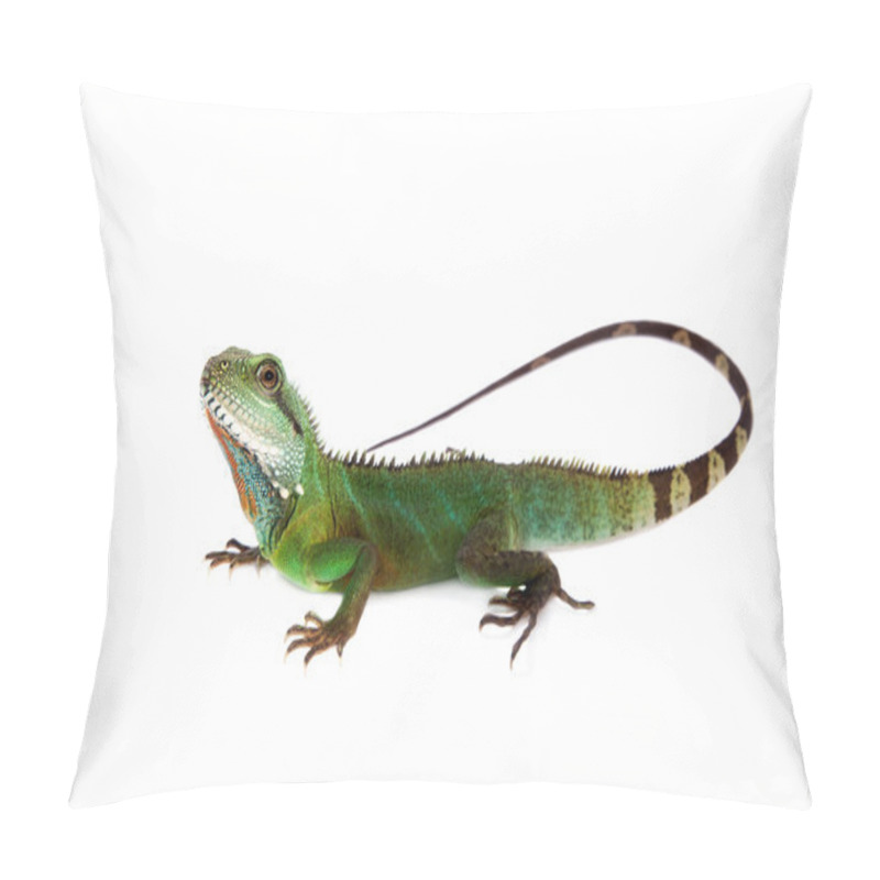 Personality  The Australian Water Dragon On White Background Pillow Covers