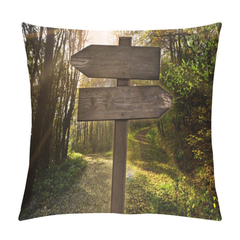 Personality  Signpost Direction Forest Lanes Parting Dirt Road Pillow Covers