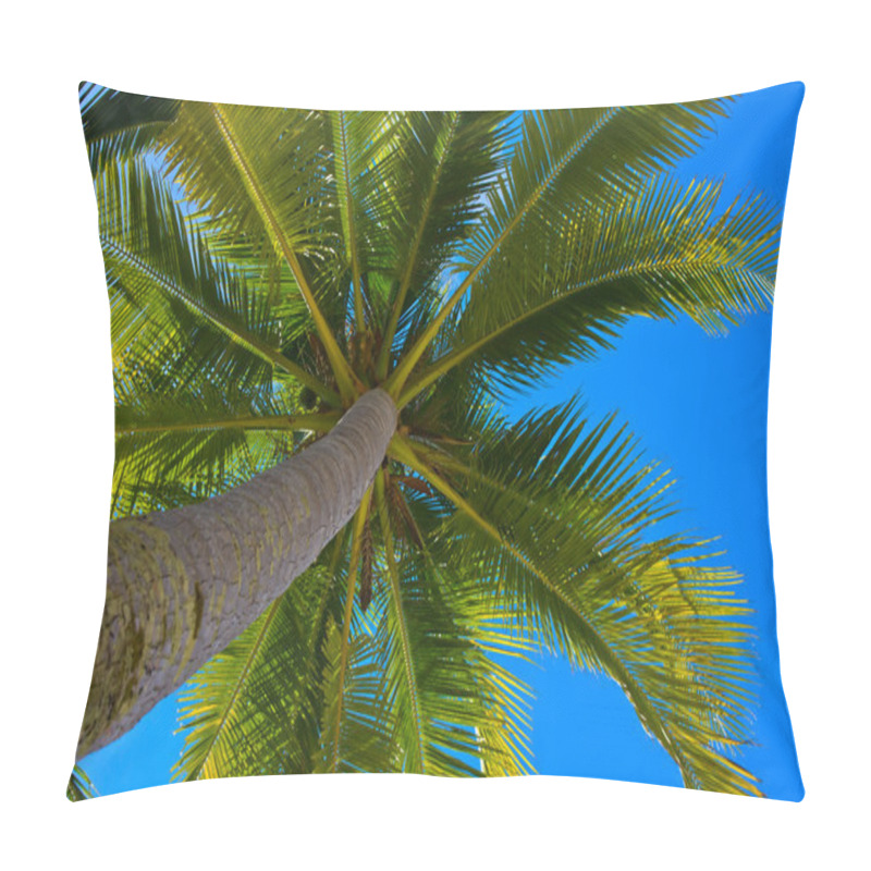 Personality  Coconuts Palm Tree Pillow Covers