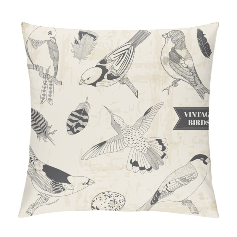 Personality  Vector Set: Calligraphic Hand Drawn Birds Pillow Covers