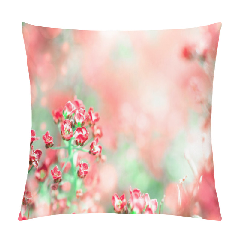 Personality  Blurred Beautiful Magic Floral Pink Background With Copy Space Pillow Covers