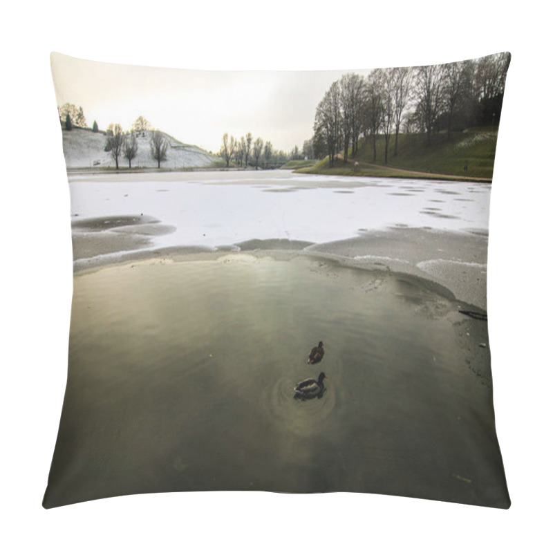 Personality  Ducks In The Frozen Lake At The Olympia Park In Munich, Germany Pillow Covers