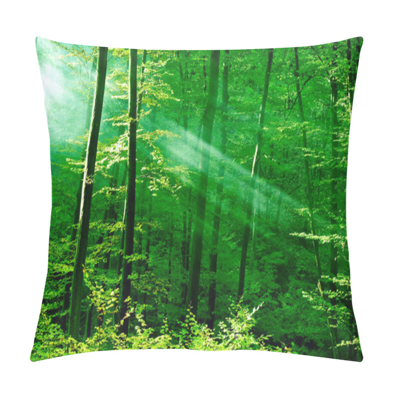 Personality  Lights Of The Morning Forest Pillow Covers