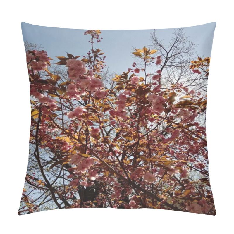 Personality  A Cherry Blossom Tree Bursts With Pink Flowers And New Leaves Under A Clear Blue Sky. The Scene Captures The Beauty And Vibrancy Of Spring In Nature. Pillow Covers