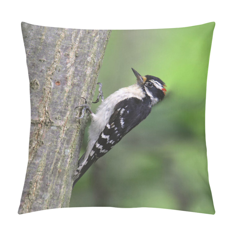 Personality  Hairy Woodpecker (male) (picoides Villosus) Pillow Covers