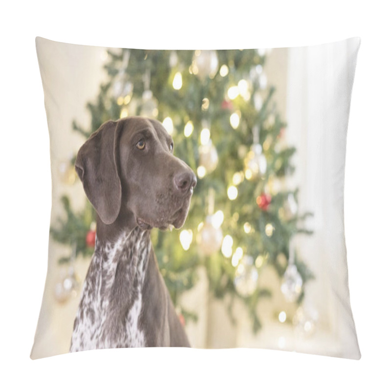 Personality  Close Up Of Dog Looking Away In Front Of Christmas Tree Pillow Covers