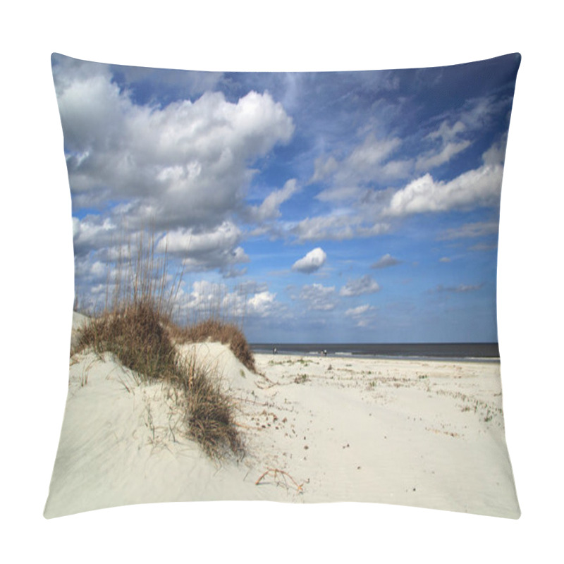 Personality  Cumberland Island National Seashore, Located In The State Of Georgia, Is Famous For Its Vast Beaches, Its Extensive Trail Network, And Also For Its Resident Population Of Wild Horses And Other Wildlife Pillow Covers