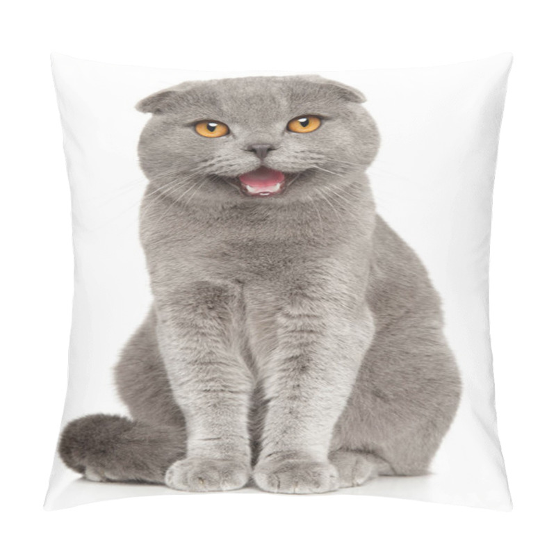 Personality  Happy Cat. Portrait Of A Scottish Fold Cat On A White Background Pillow Covers