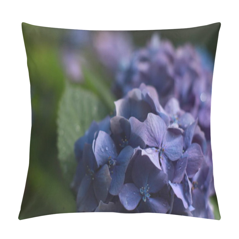 Personality  Beautiful Blooming Hydrangea Flower Purple And Blue. Pillow Covers