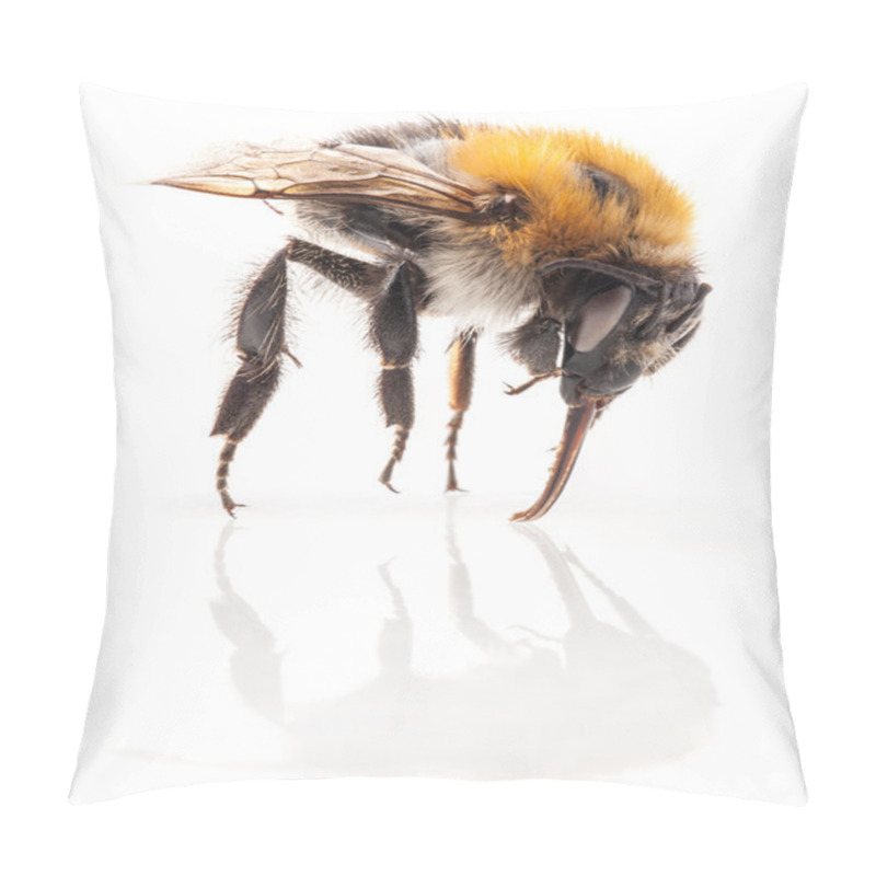 Personality  Bumblebee Pillow Covers