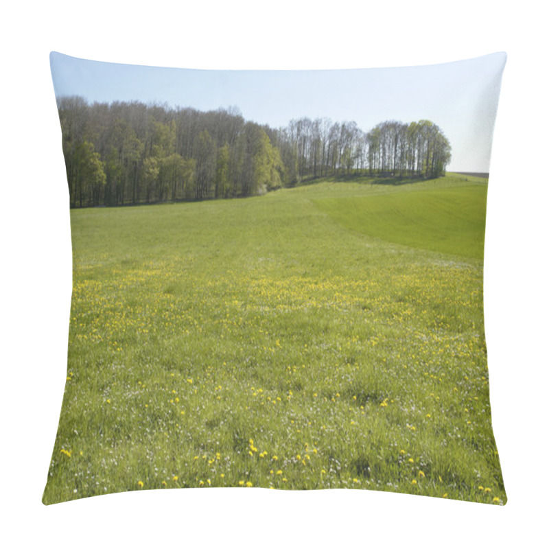 Personality  Flowery Meadow In Hohenlohe Pillow Covers