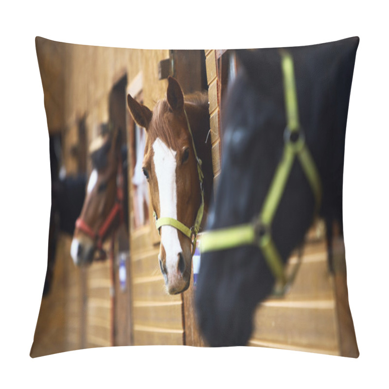 Personality  Horses Pillow Covers