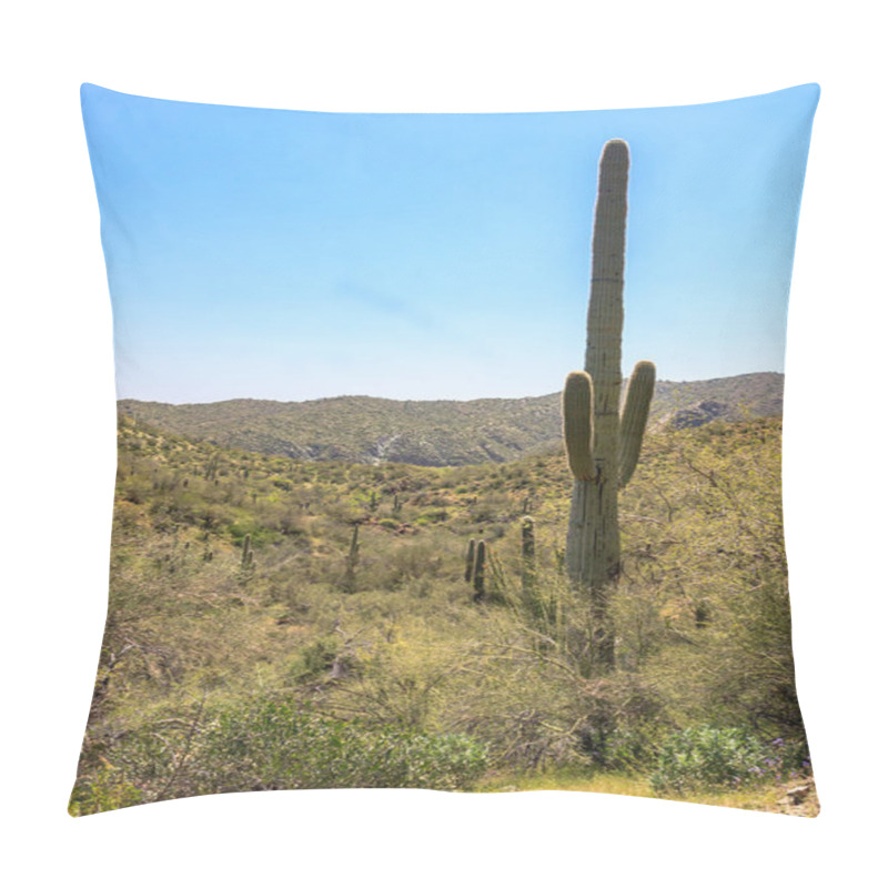 Personality  A Tall Cactus Stands In A Desert Landscape. The Cactus Is Surrounded By A Lush Green Field, And The Sky Is Clear And Blue. Concept Of Tranquility And Serenity Pillow Covers