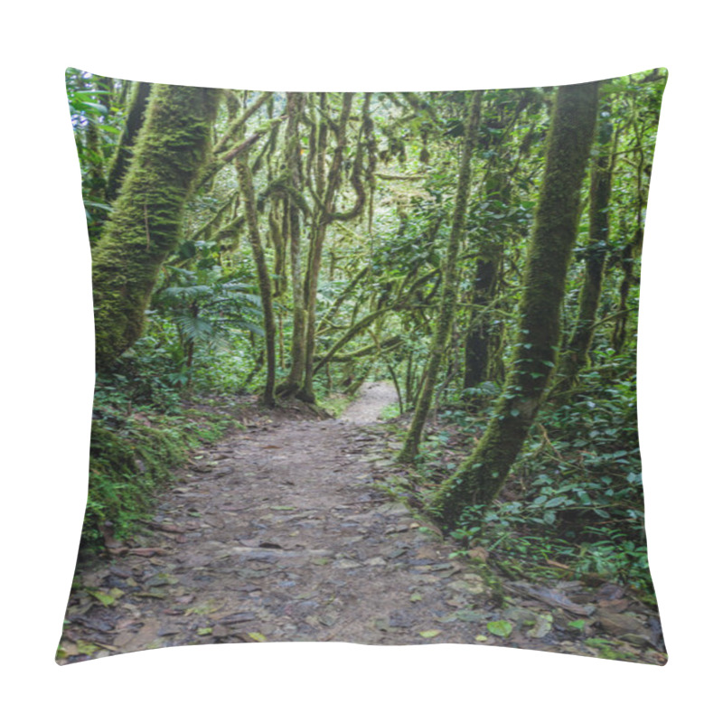 Personality  Jungle Trail Leading To Catarata De Gocta, One Of The Highest Waterfalls In The World, Northern Peru. Pillow Covers