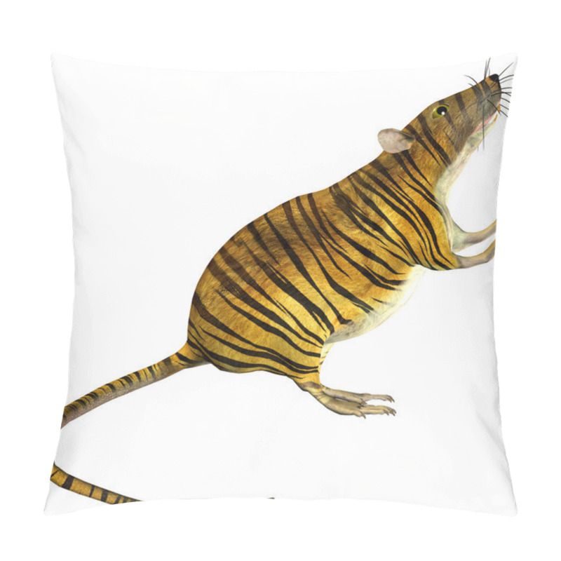 Personality  Surreal Rat With Tiger Skin Pillow Covers