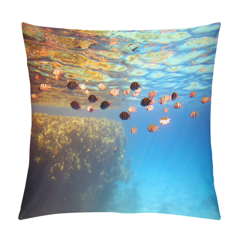 Personality  Coral Reef And Fishes. Pillow Covers