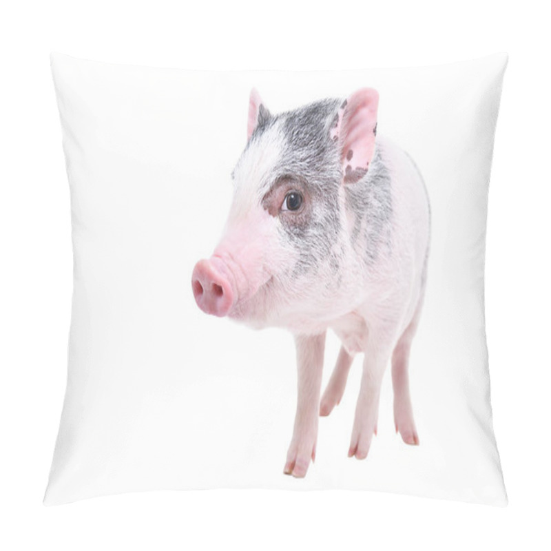 Personality  Funny Little Vietnamese Piggy Standing Isolated On White Background Pillow Covers