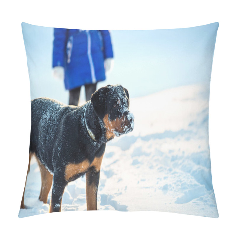 Personality  Funny Positive Young Dog Joyfully Plays In The Countryside On A Frosty Sunny Day While Standing Against The Backdrop Of His Unidentified Little Mistress. The Concept Of Cute And Healthy Animals Pillow Covers