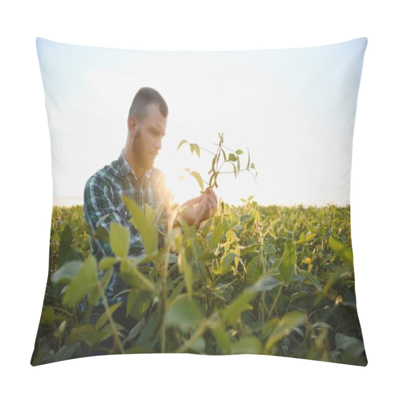 Personality  Farm Worker Controls Development Of Soybean Plants. Agronomist Checking Soya Bean Crops Growing In The Field. Pillow Covers