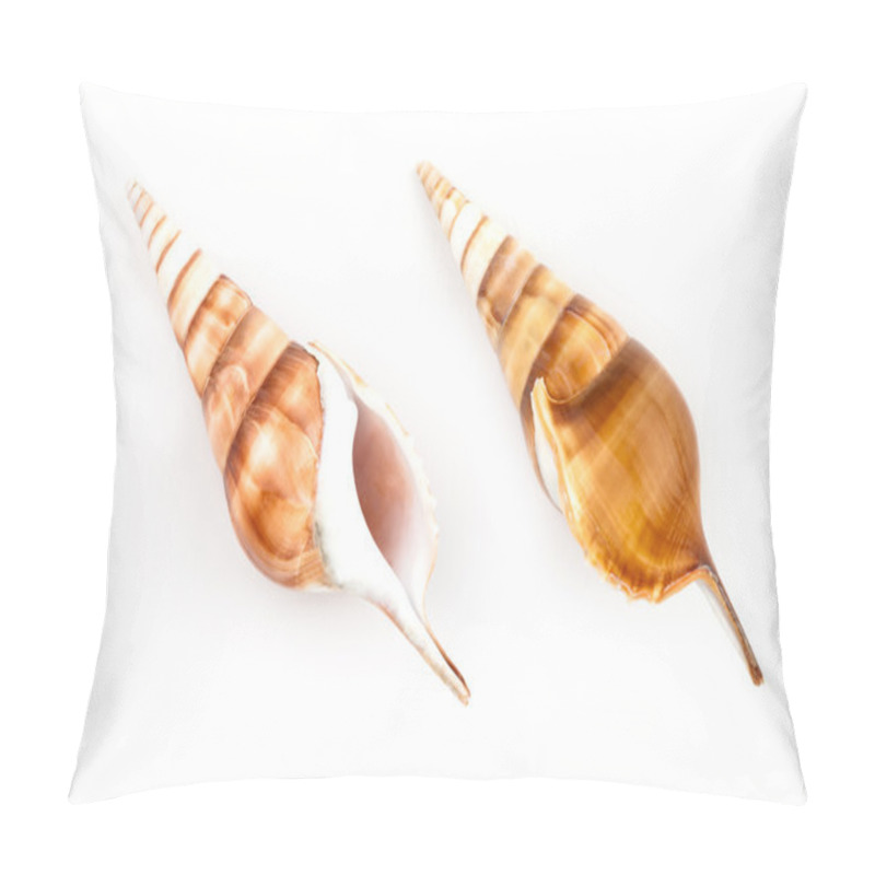 Personality  Tibia Shell (Tibia Curta) Pillow Covers