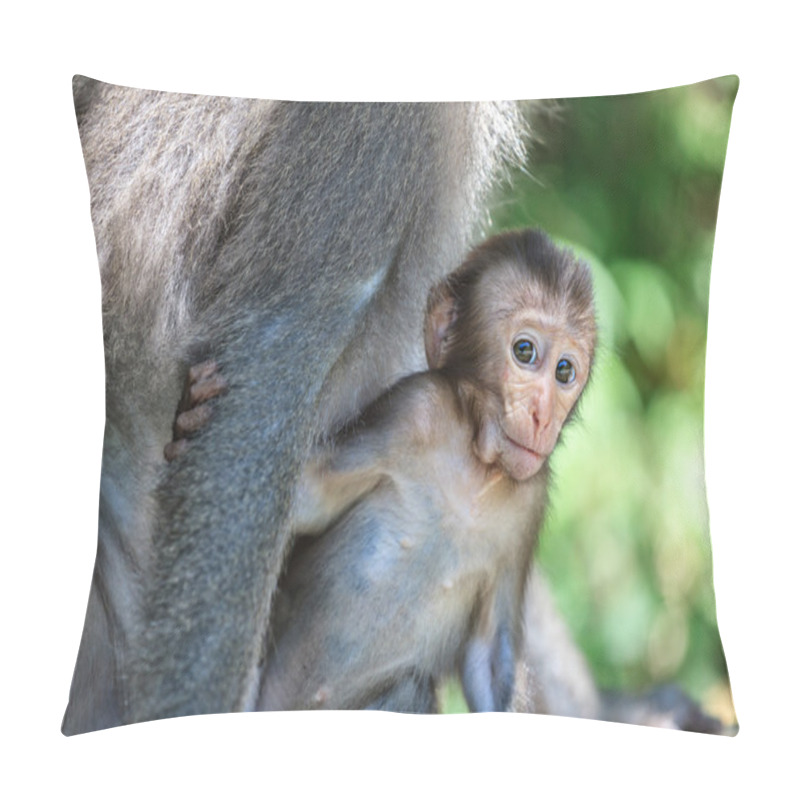 Personality  Monkey Mother And Baby In Natural Pillow Covers