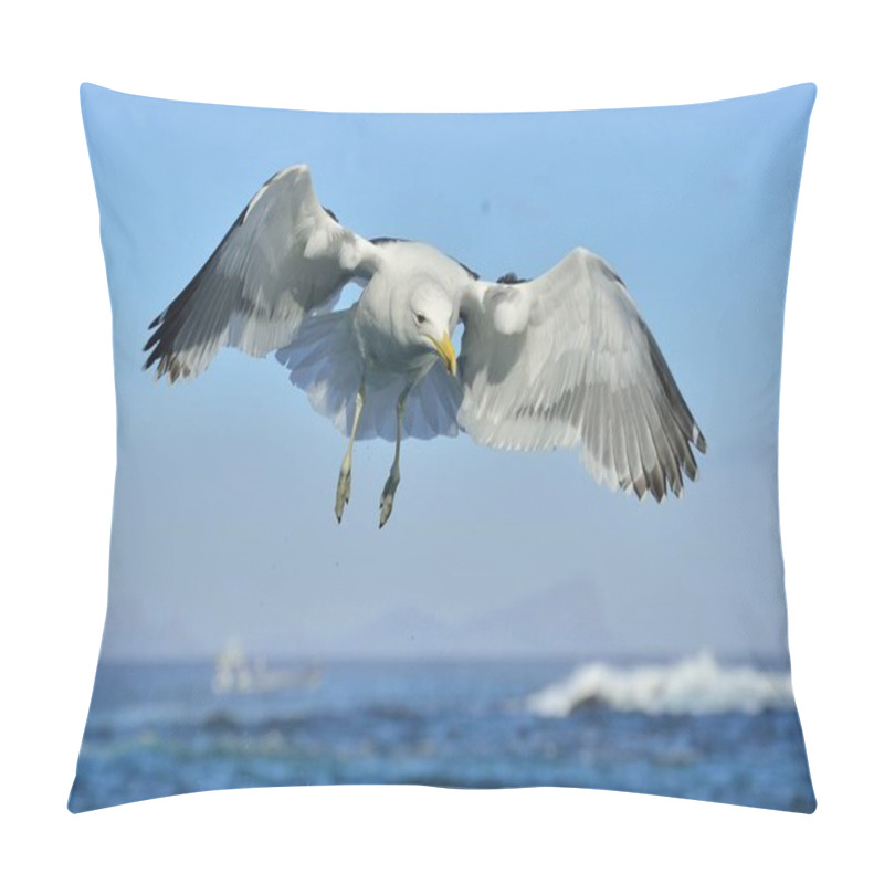 Personality  Flying Kelp Gull Pillow Covers