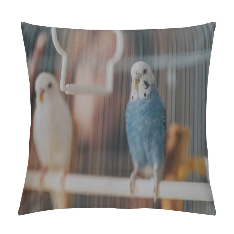 Personality  Two Budgerigars, One Blue And One White, Perched In A Cage, Showcasing Their Colorful Feathers And Curious Demeanor, Embodying Beauty And Companionship. Pillow Covers