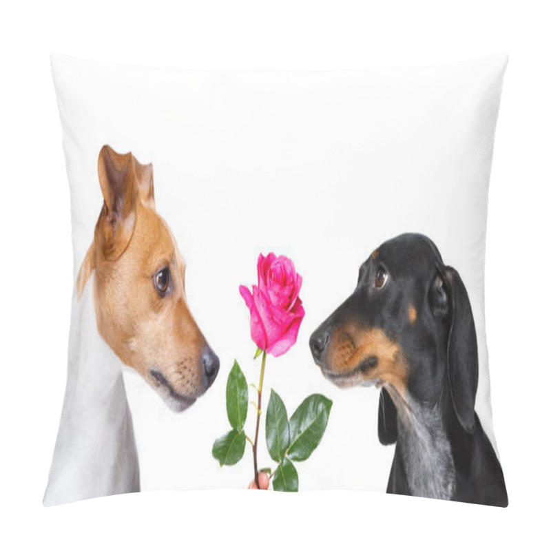 Personality  Couple  Of Dogs In Love , Looking Each Other In The Eyes, With Passion , Pink Red Rose In The Middle, Isolated On White Background Pillow Covers