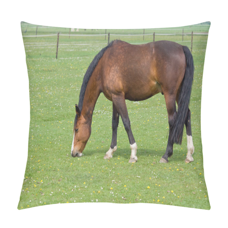 Personality  Brown Horse On Pasture Pillow Covers