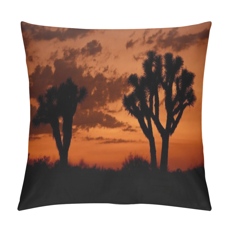 Personality  Mojave Desert Sunset Pillow Covers