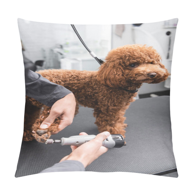 Personality  Partial View Of African American Groomer Polishing Nails Of Brown Poodle On Grooming Table Pillow Covers