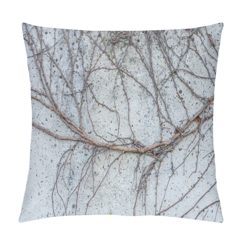 Personality  Abstract Minimalist Wall Texture With Intertwined Bare Branches And Natural Geometric Patterns Pillow Covers