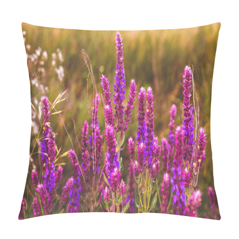 Personality  Sage Salvia Flower Garden Plant Nature Purple Green Summer Beaut Pillow Covers