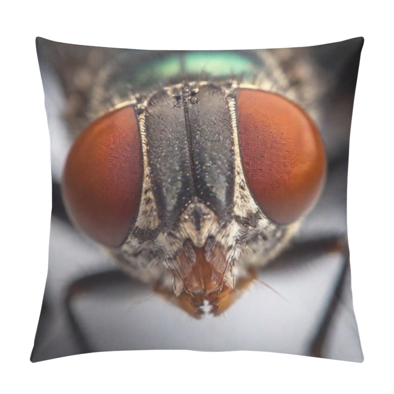 Personality  Extreme Macro Of A Housefly's Compound Eyes, Showing The Hundreds Of Tiny Lenses. Pillow Covers