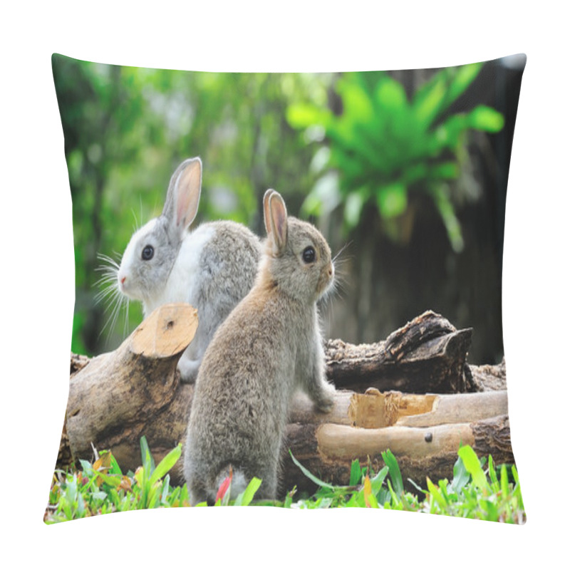 Personality  Rabbit Pillow Covers