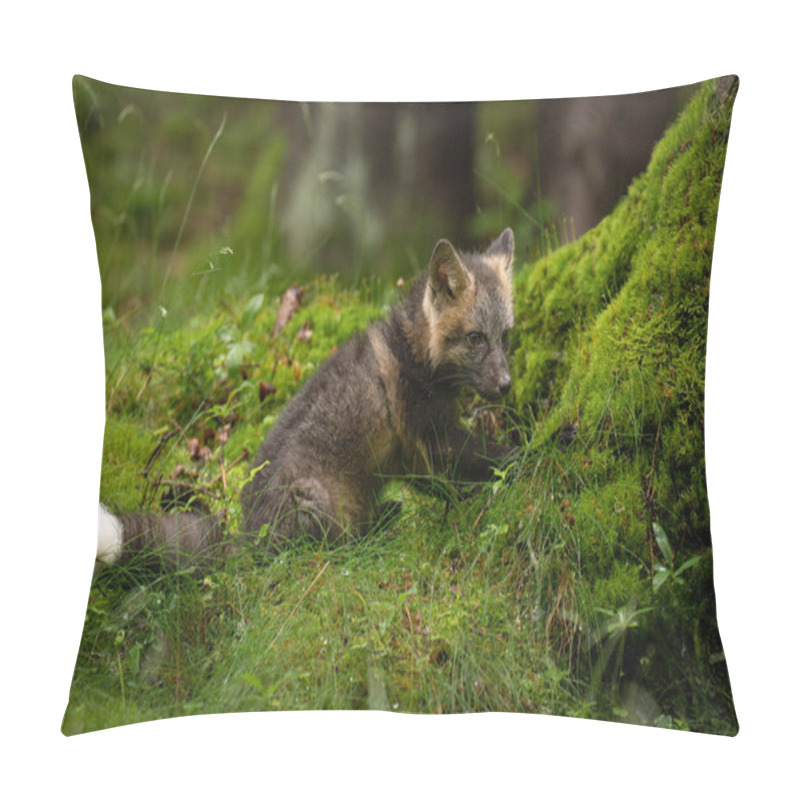 Personality  Young Fox With Grey Fur Plays In A Green Forest, Blending Into The Lush Surroundings. It Pauses, Alert And Curious, Capturing The Essence Of Youthful Energy And Natural Beauty. Pillow Covers