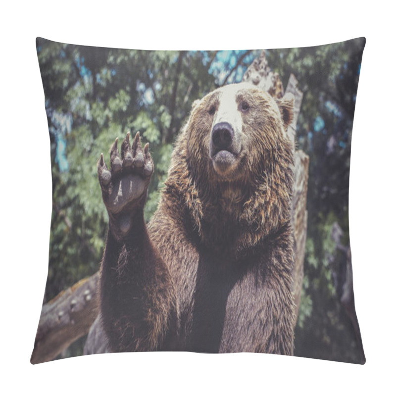 Personality  Bear Waving With Claw Majestic And Powerful Animal Pillow Covers