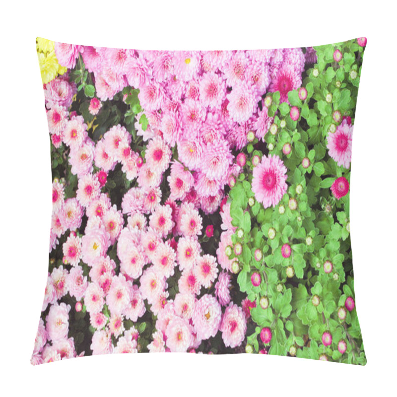 Personality  Chrysanthemums Pillow Covers