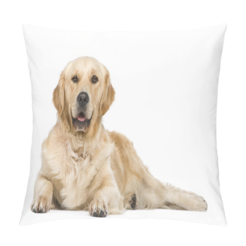 Personality  Golden Retriever (2 Years) Pillow Covers