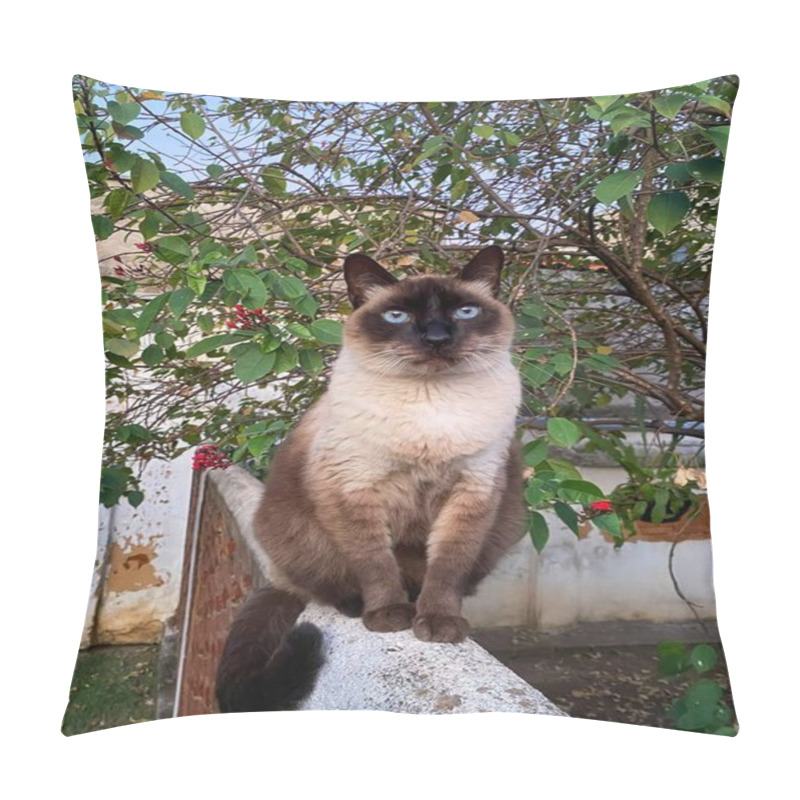 Personality  A Siamese Cat With Blue Eyes Sits On A Garden Wall, Surrounded By Leafy Branches And Bright Red Berries On A Sunny Day. Pillow Covers