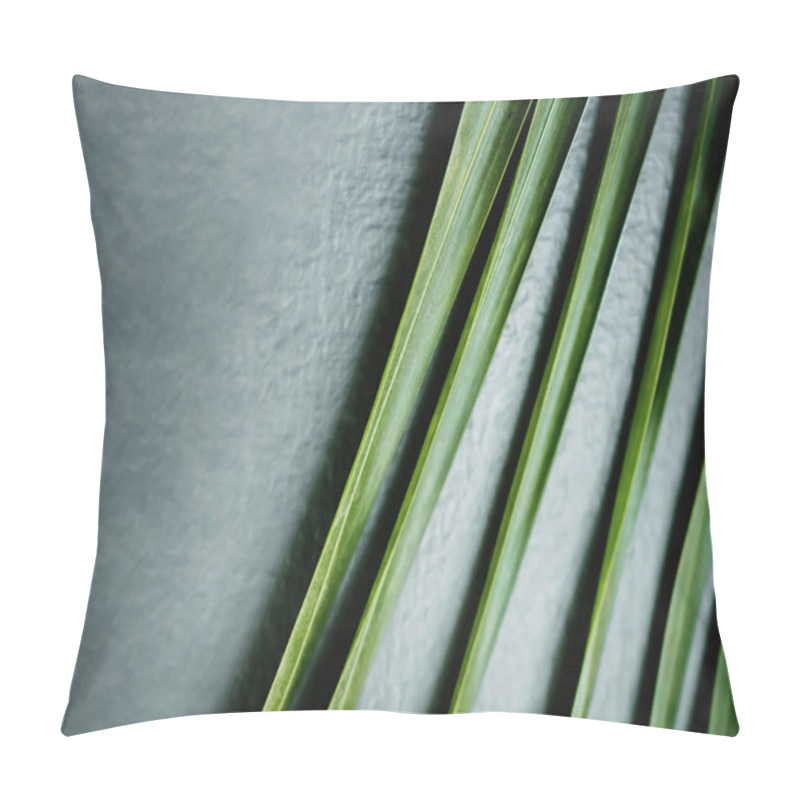 Personality  Areca Palm Leaf In Summer Light. Close Up Of Foliage. Tropical Botanical Tree. Selective Focus Pillow Covers