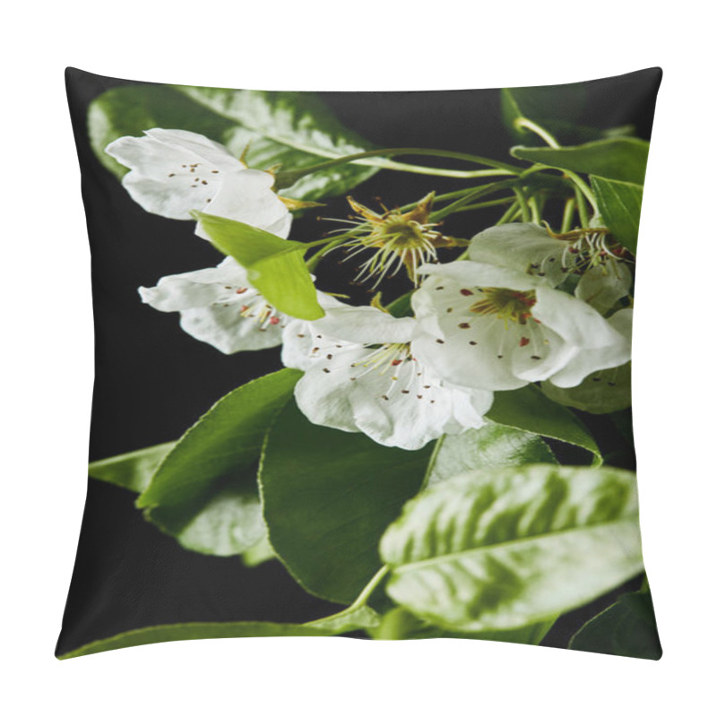 Personality  Close-up Shot Of Aromatic Cherry Flowers Isolated On Black Pillow Covers