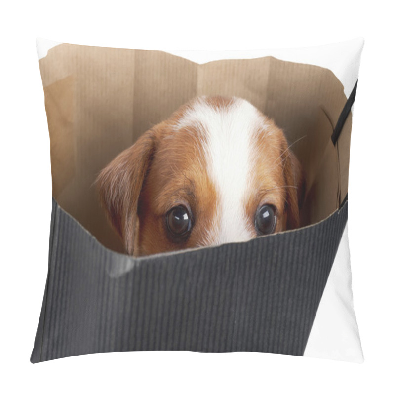 Personality  Cute Puppy Looking Out Of Shopping Bag Isolated Pillow Covers